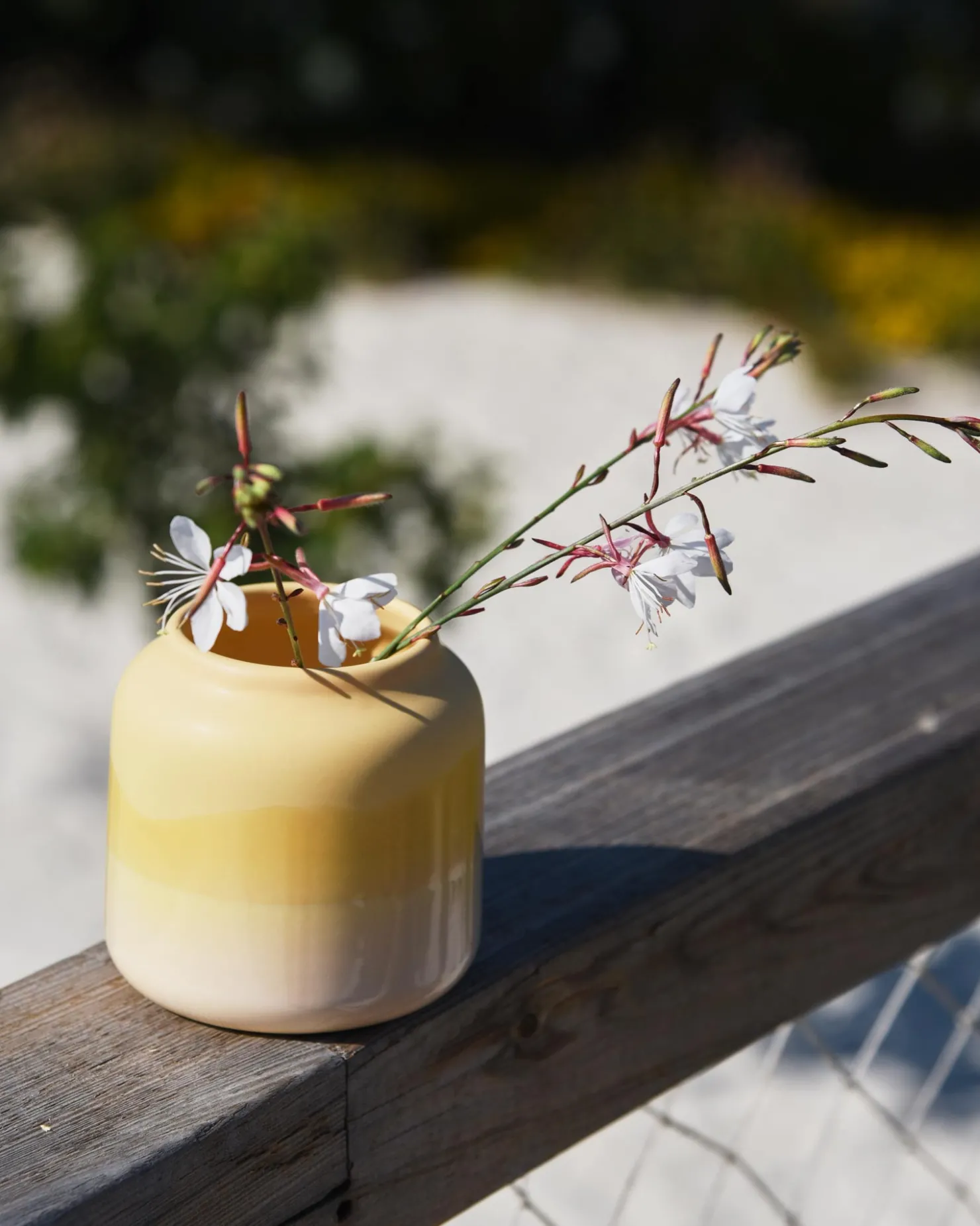 beb_vase__yellow_4.webp Motel a Miio Kleine Vasen^Bebé Vase - Yellow gelb
