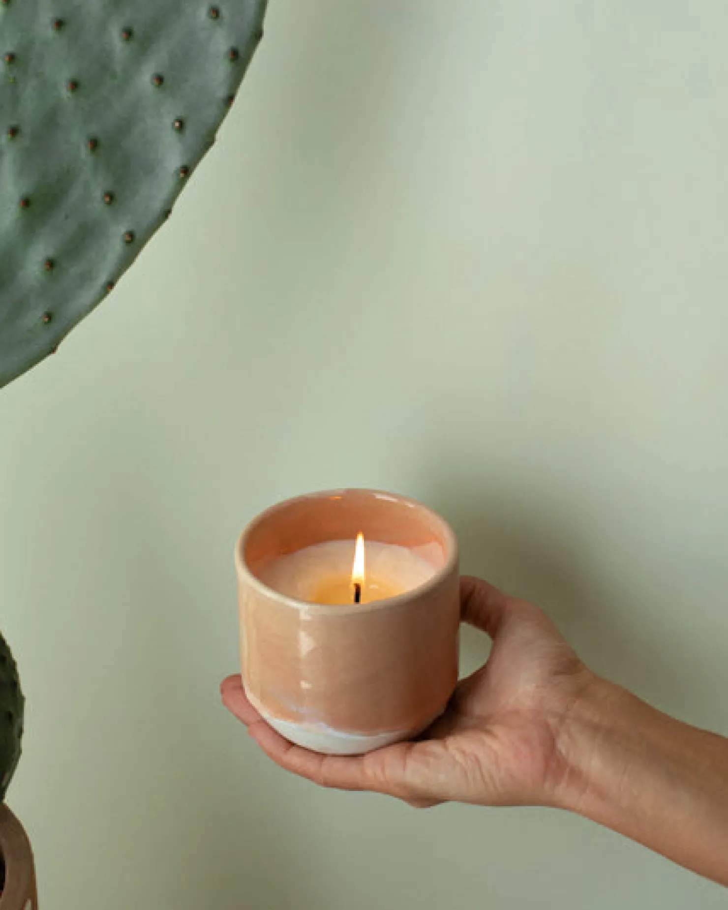 coimbra__scented_candle_mediterranean_breeze_apricot_6.webp Motel a Miio Duftkerzen^Coimbra - Scented Candle “Mediterranean Breeze” apricot
